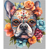 Animal Integration-DW 554